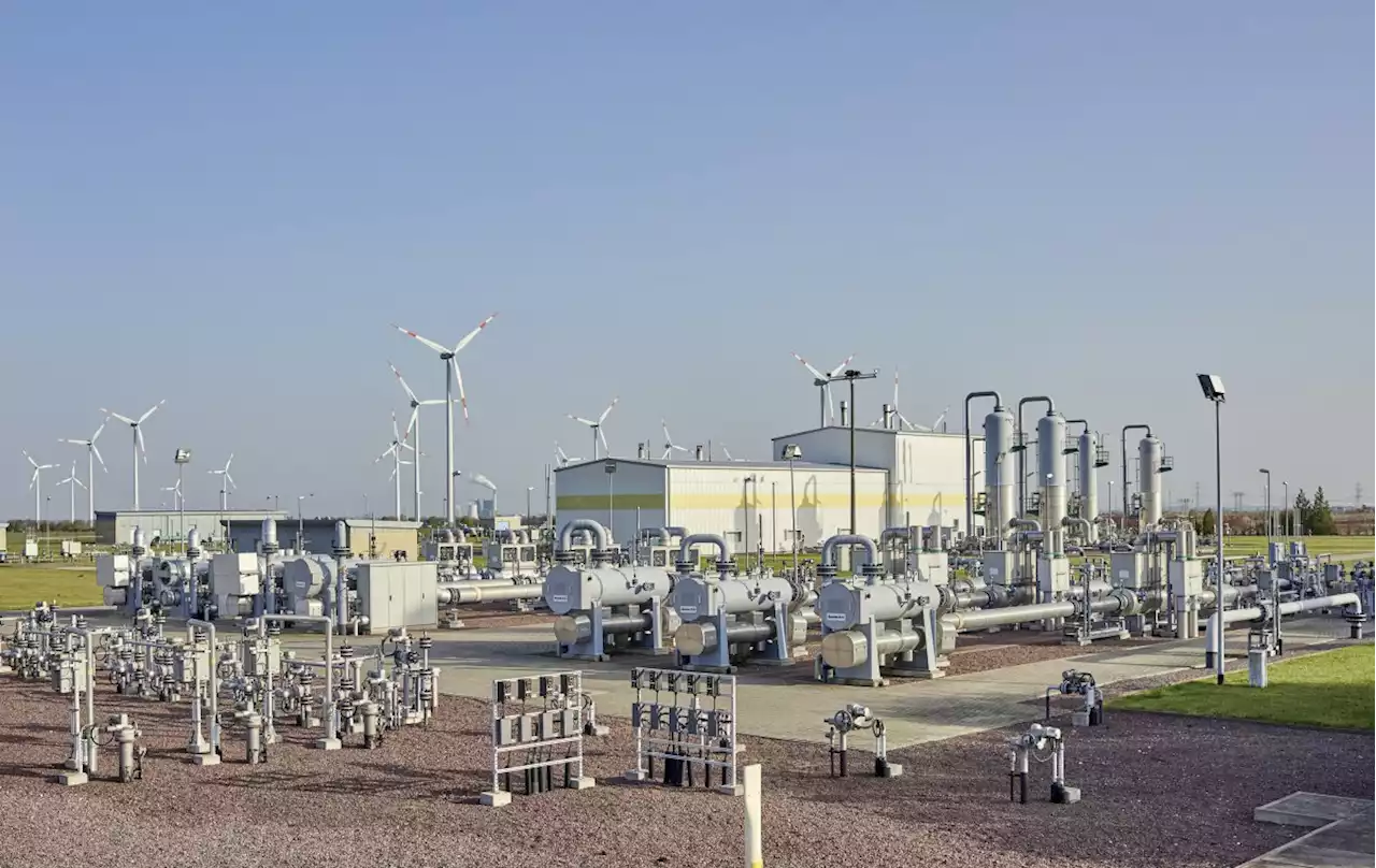 Gaskrise und VNG: Drittgrößter Gasversorger beantragt Staatshilfe