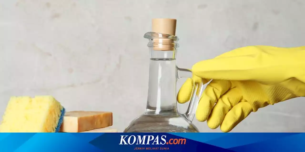 5 Benda yang Dapat Dibersihkan dengan Cuka