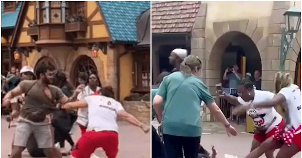 Disney Asks Theme Park Visitors to 'Treat Others with Respect' Following Massive Magic Kingdom Slugfest