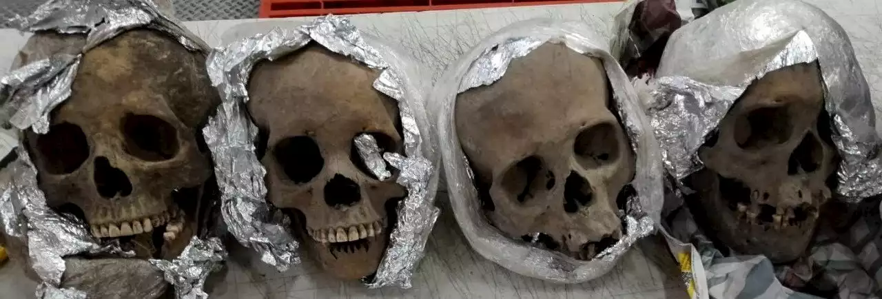 Mexican authorities find 4 human skulls in package bound for US