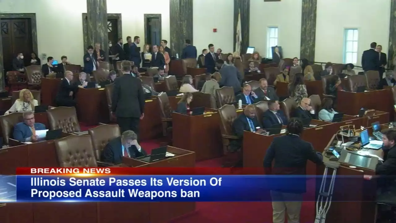 Illinois Senate passes its version of proposed assault weapons ban