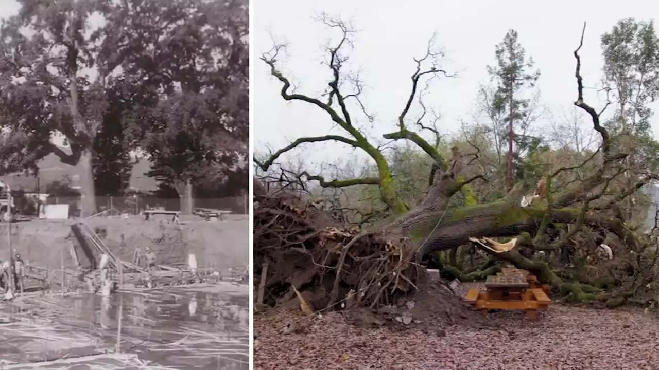 Widespread flooding leads to swift water rescues, road closures across Bay Area after powerful storm