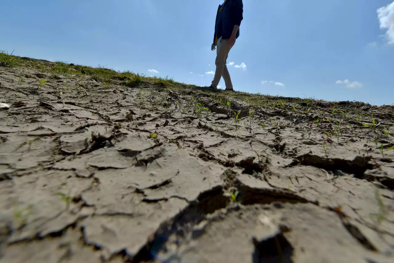 Climat : les huit dernières années ont été les plus chaudes de l'Histoire dans le monde