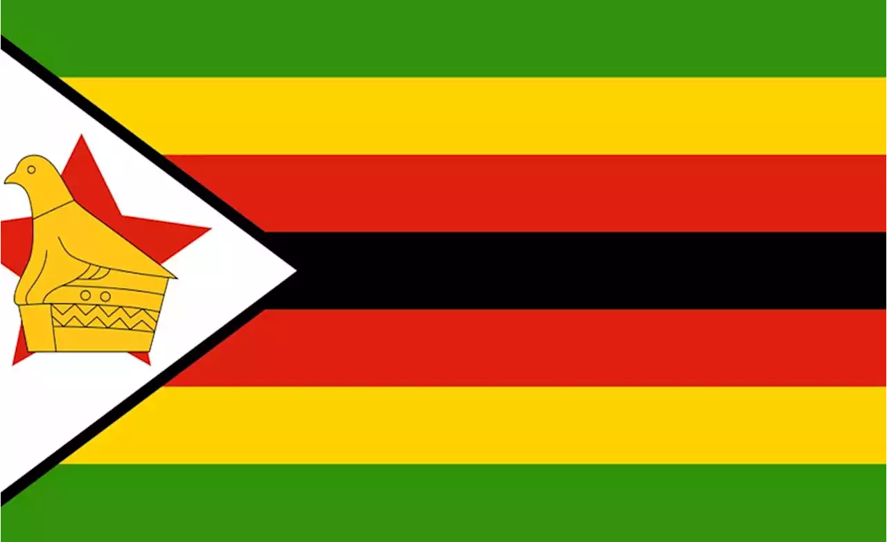 Zimbabwe: Violent Attacks Against Political Opposition Supporters Must Be Promptly Investigated