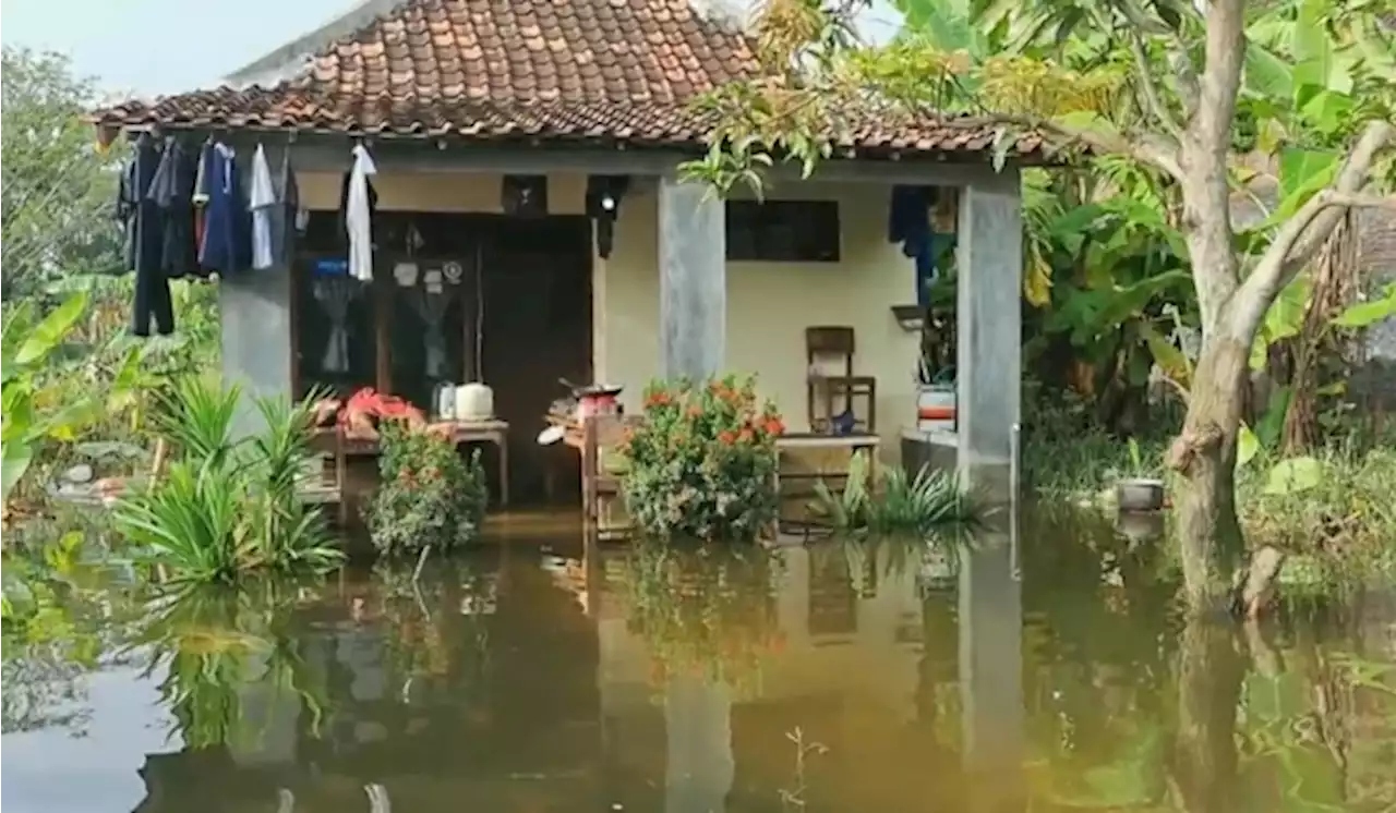 29 Desa di Demak Masih Terendam Banjir, Warga Mulai Jenuh dan Stres