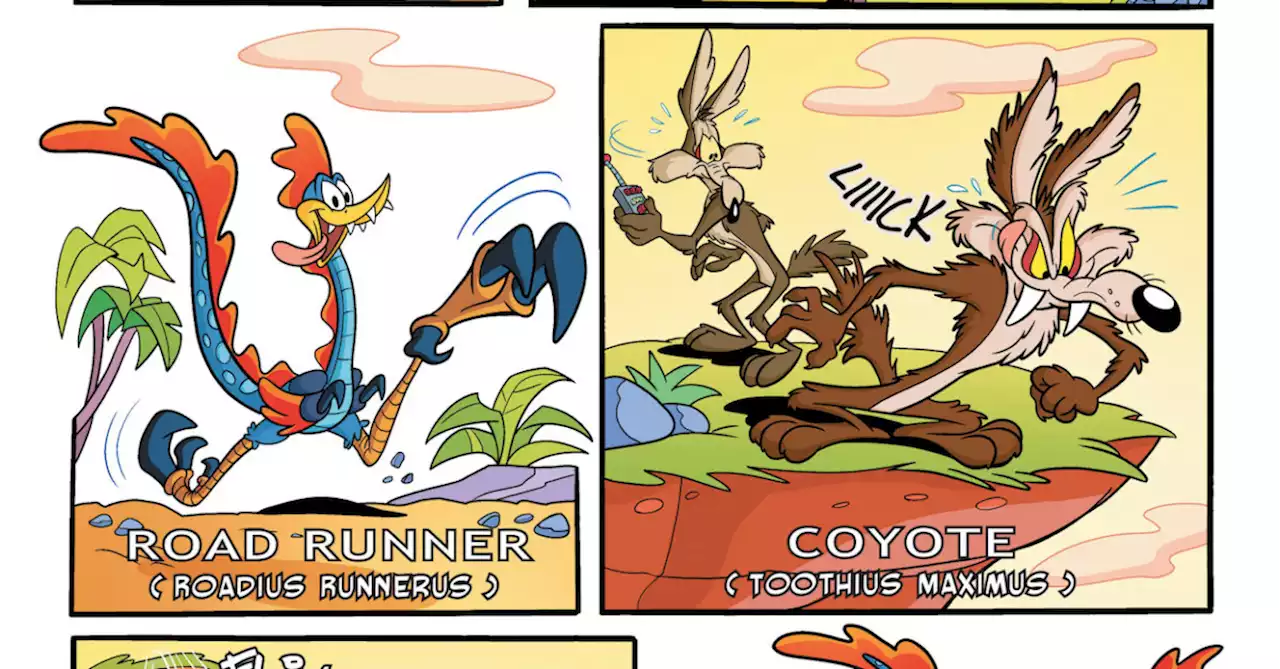 Looney Tunes #279 Preview: Doctor Who? Coyote