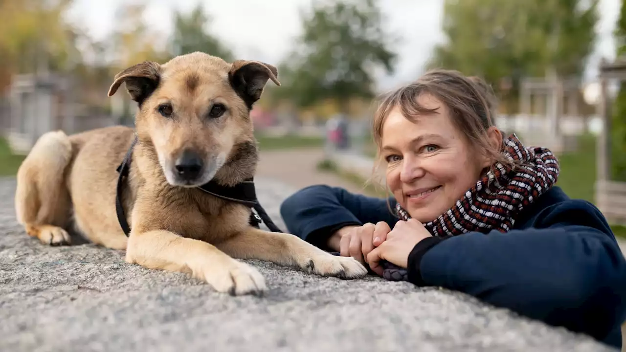 Berliner Schnauze auf vier Beinen – unsere Stadt aus Hundesicht