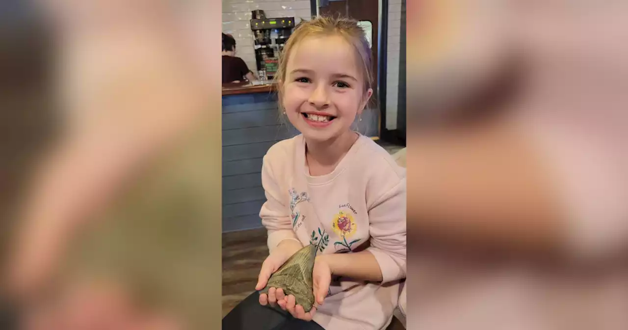 Maryland girl finds 'once-in-a-lifetime' shark tooth from ancient 50-foot megalodon