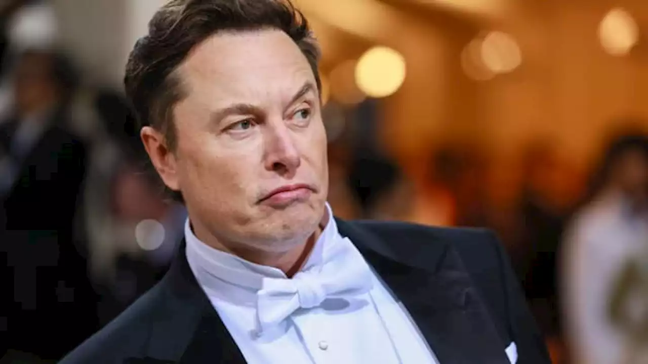 Elon Musk's $182 billion net worth drop breaks Guinness World Record