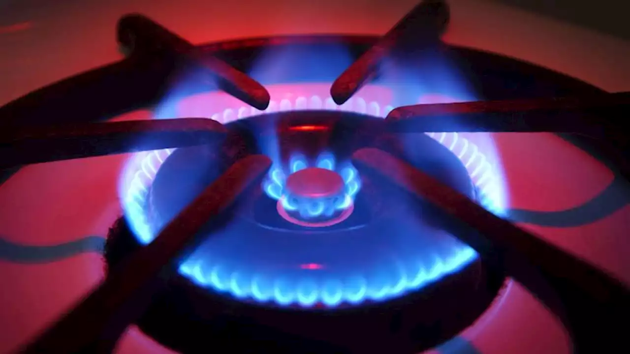 A US federal agency is considering a ban on gas stoves, report says | CNN Business