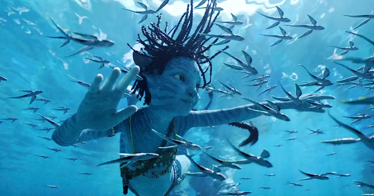 Why Avatar: The Way of Water Is Connecting With Audiences