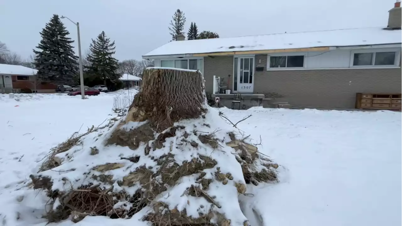 Ottawa family still waiting for home damaged by derecho to be repaired