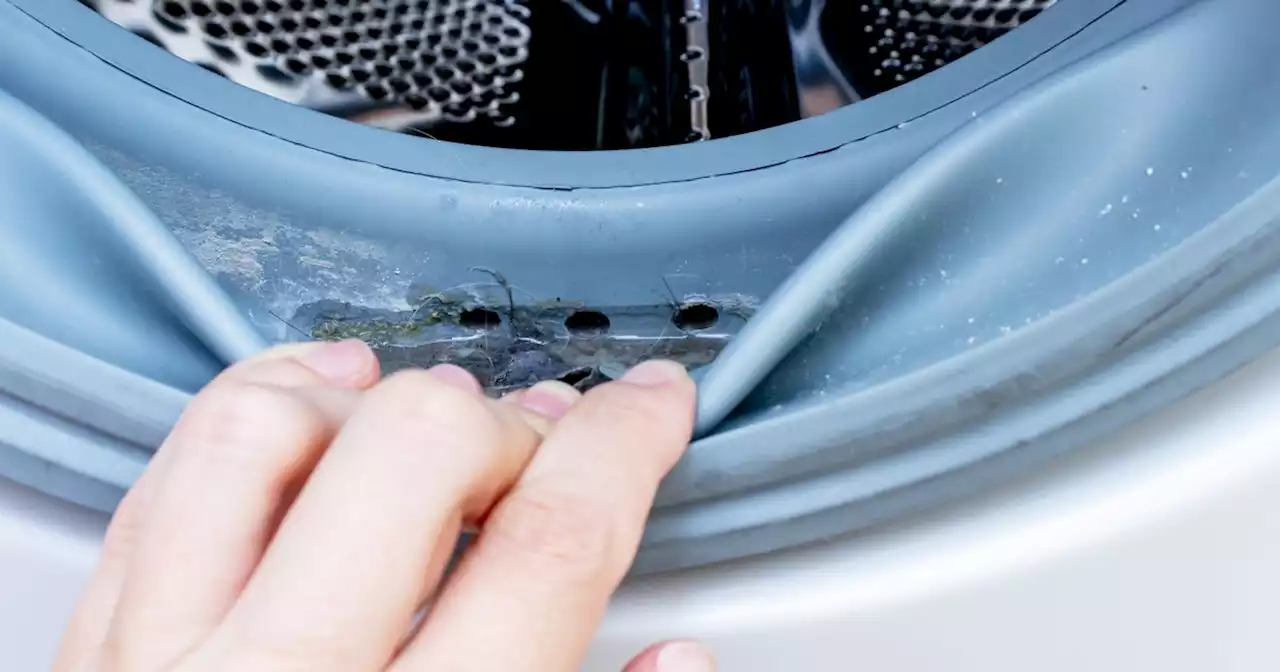 Mrs Hinch fans share 80p hack for removing black mould from washing machine