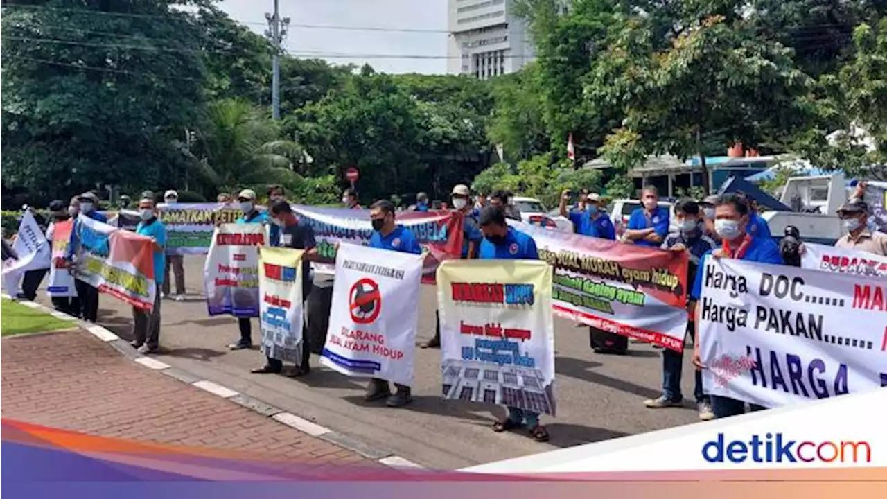 Harga Ayam Anjlok, Peternak Seruduk Kantor Zulhas Hari Ini