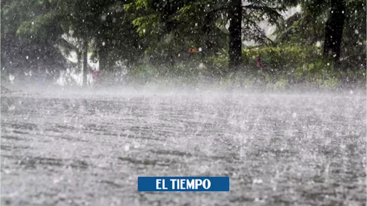 Este es el lugar más lluvioso del mundo