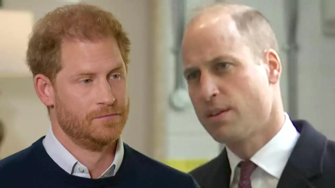 Prince Harry on What He Hopes the Royals Will Take Away From 'Spare'