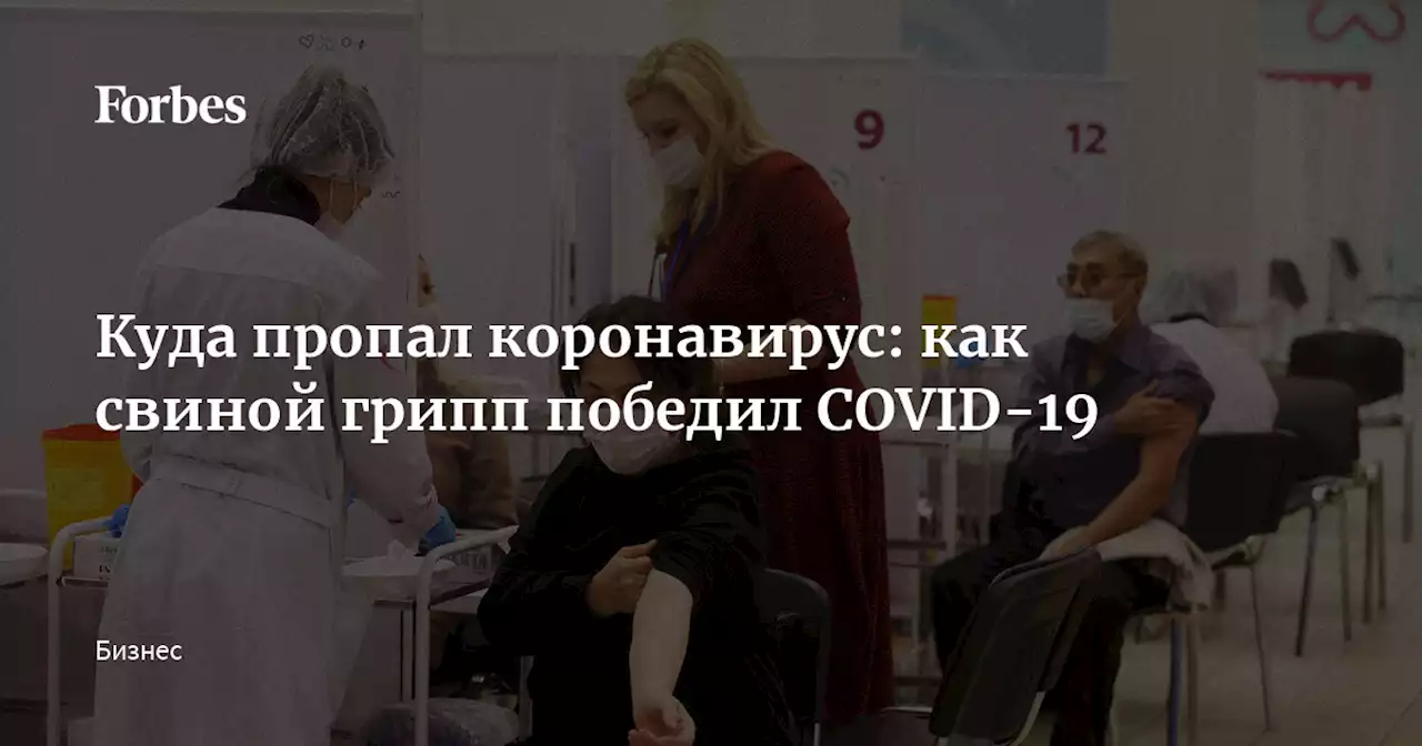 Куда пропал коронавирус: как свиной грипп победил COVID-19