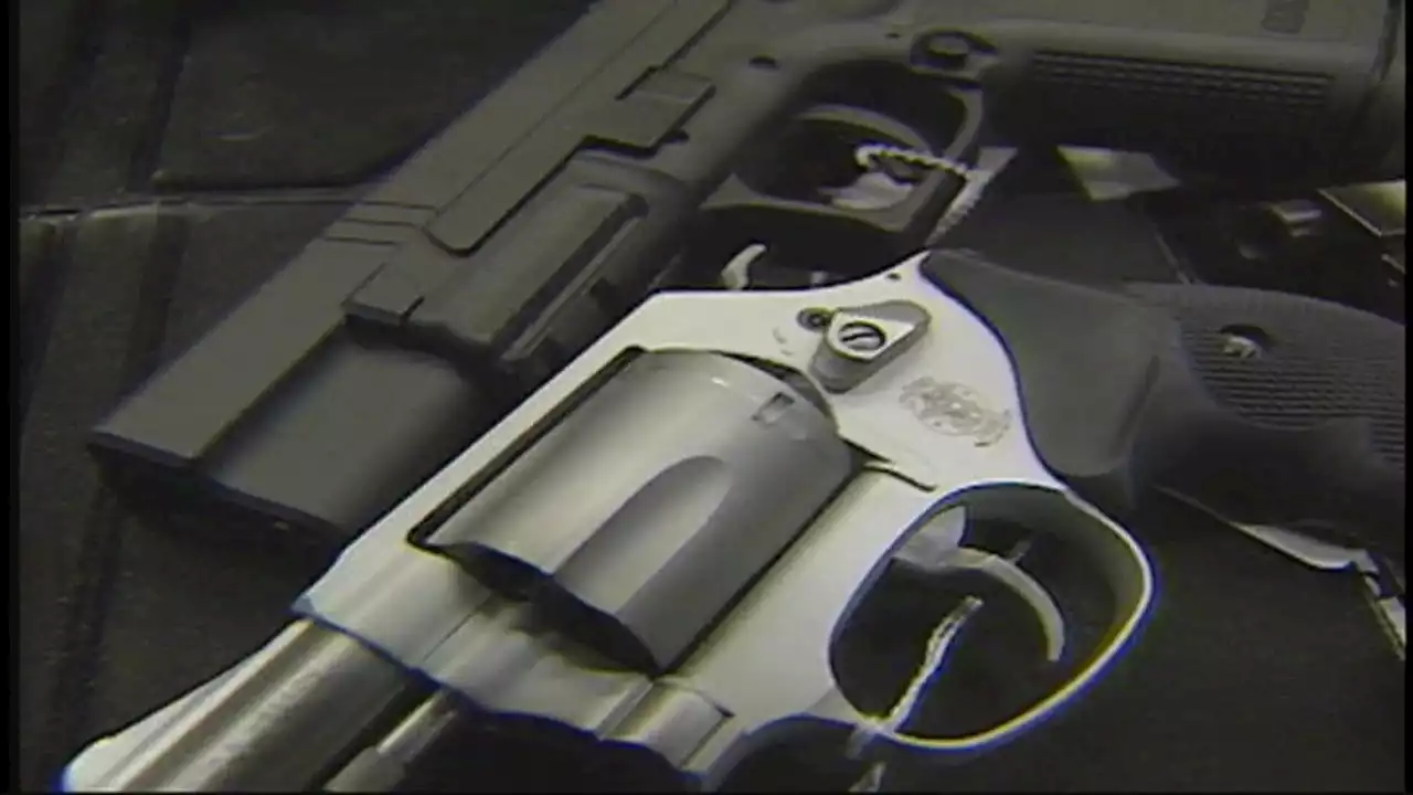 Judge halts New Jersey's stricter gun carry law, for now