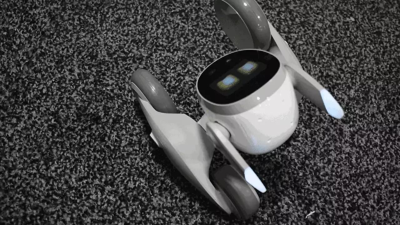 The CES 2023 Robots That Want to Replace Your Family Pet