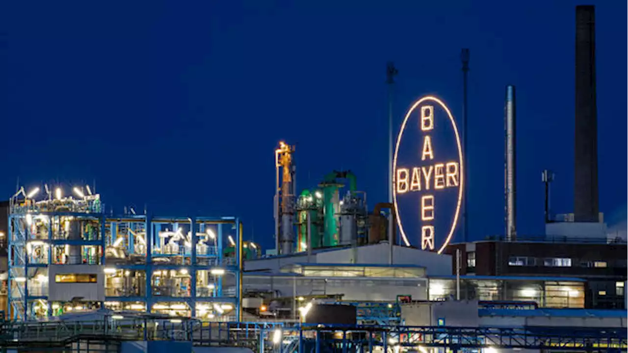 Dax-Konzern: Bayer erhöht Prognose und vertraut wieder auf Wachstum der Pharmasparte