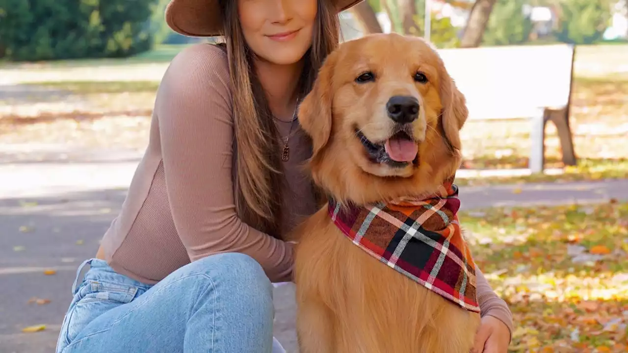 Pets on TikTok, Instagram get millions of followers. Why we love these furry influencers.