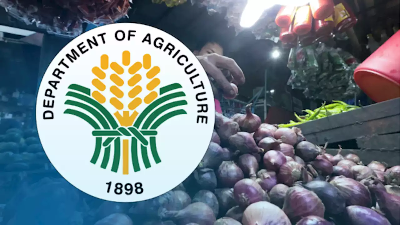 DA authorizes importation of more than 21,000MT of onions