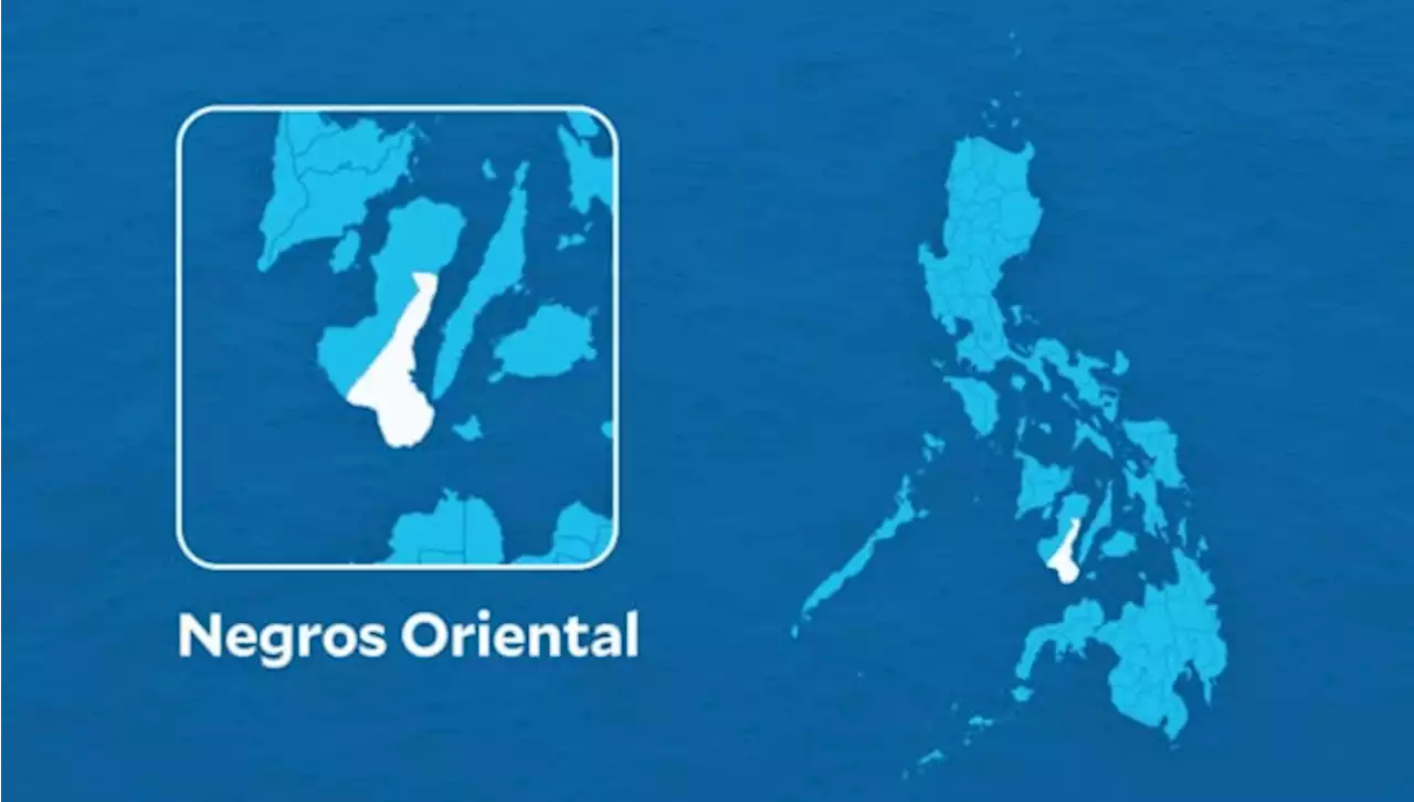 NPA member dies in encounter with military in Negros Oriental