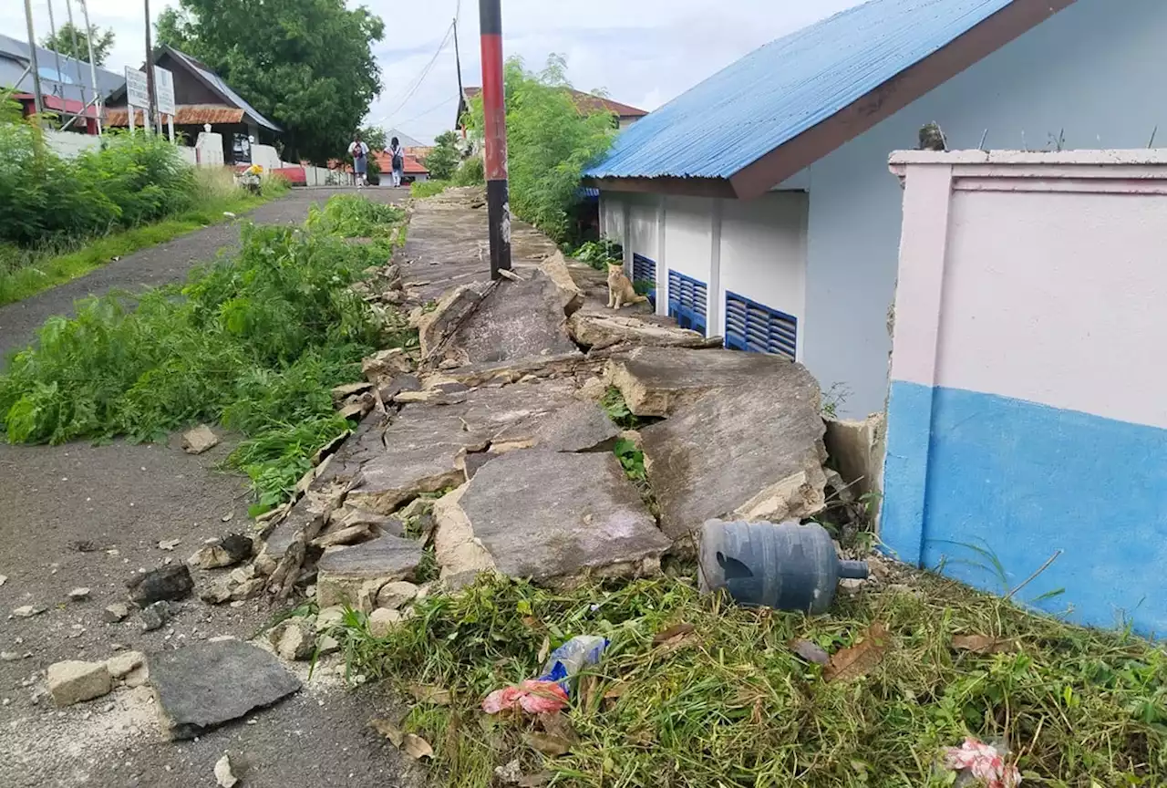 Data Terkini BNPB soal Dampak Gempa Maluku M7,5 di Kepulauan Tanimbar