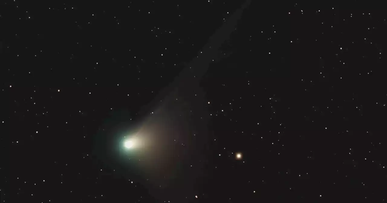 Rare comet not seen in 50,000 years to pass by Earth. Here's how to see it