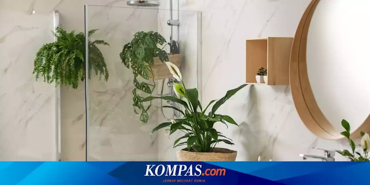 3 Tanaman untuk Usir Energi Negatif di Kamar Mandi Menurut Feng Shui