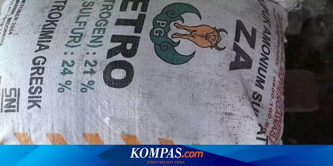 Dosis dan Cara Mengaplikasikan Pupuk ZA untuk Tanaman Cabai