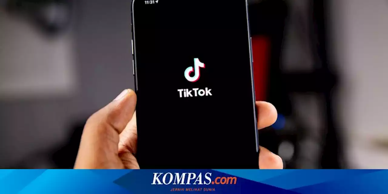 Makin Banyak Negara Bagian AS Larang Instal TikTok di Perangkatnya