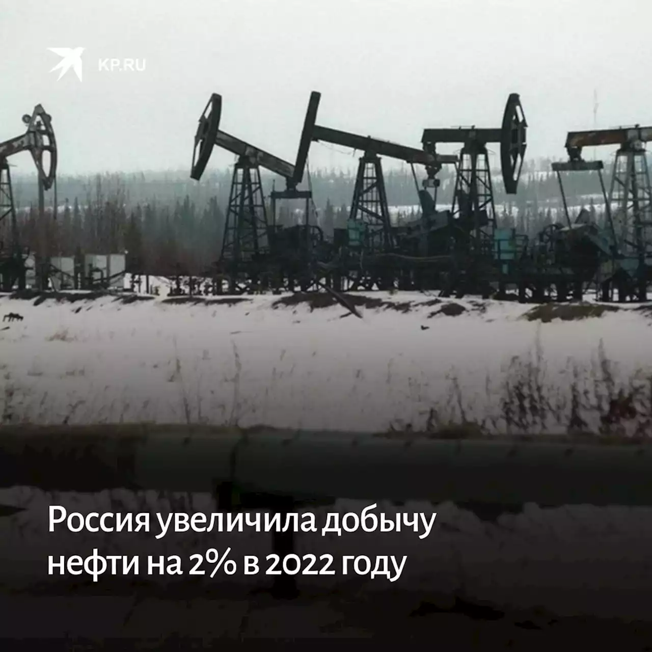 Россия увеличила добычу нефти на 2% в 2022 году