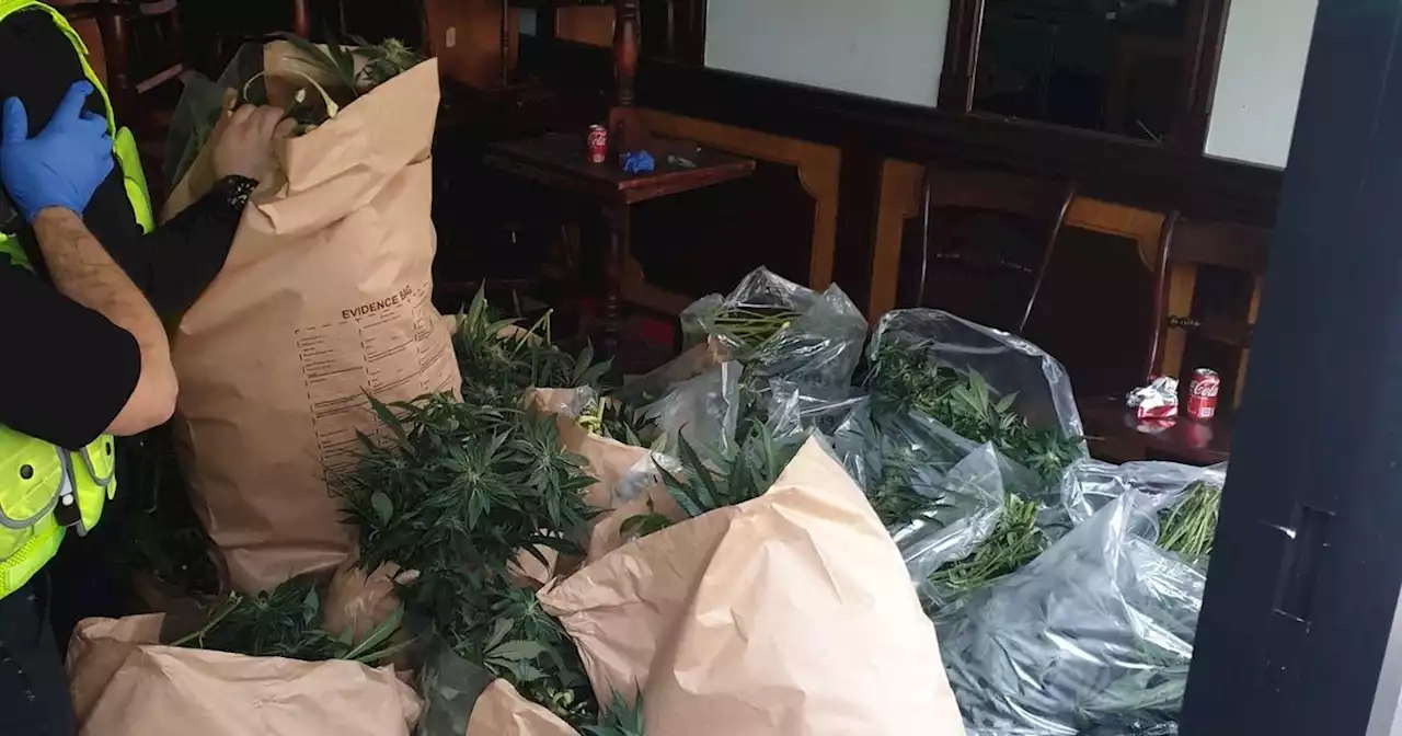 Police discover 'large number' of cannabis plants in empty Bolton building