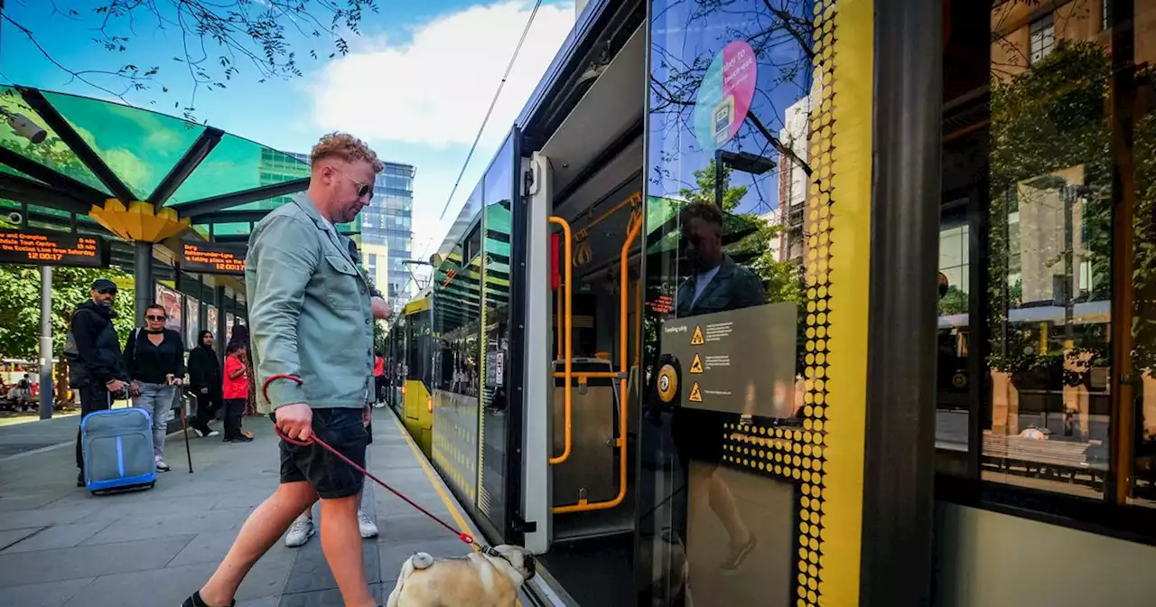 Readers react to dogs being allowed on trams