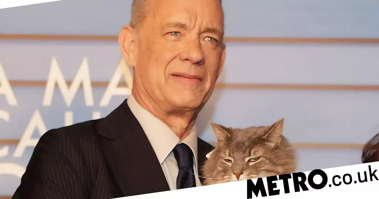 Tom Hanks and adorable cat co-star Smeagol wear matching ties at film screening