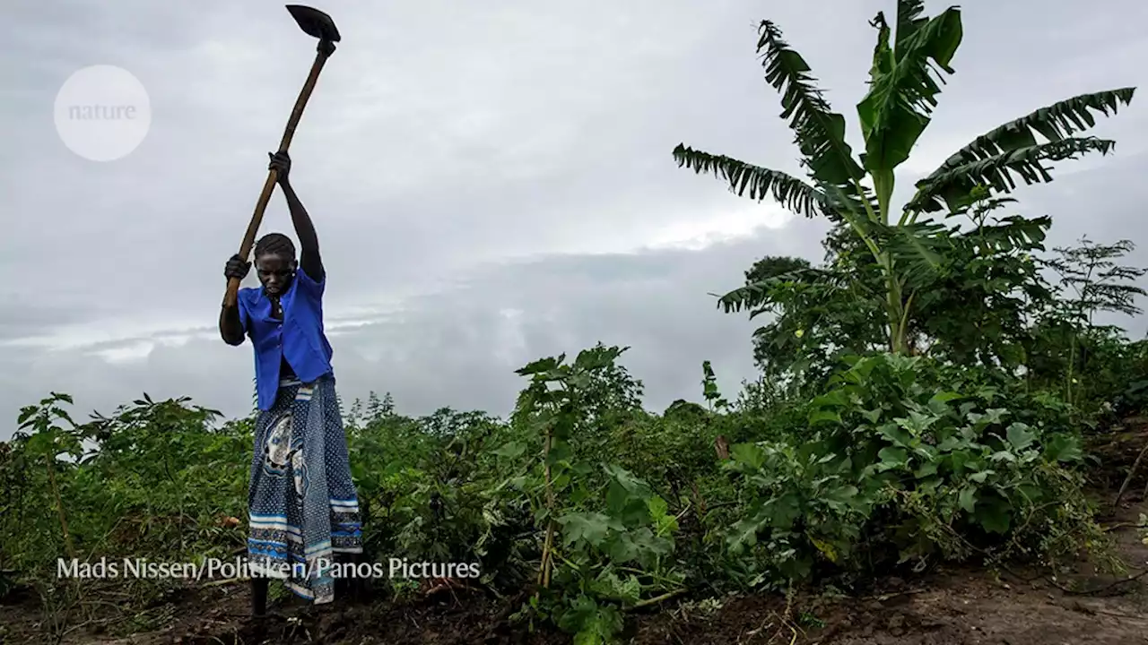 Indigenous knowledge is key to sustainable food systems