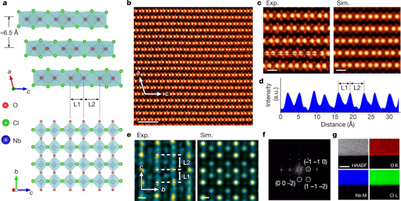 Ultrathin quantum light source with van der Waals NbOCl2 crystal - Nature