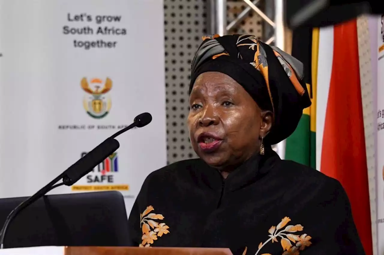 Lockdown regulations: Dlamini-Zuma accused of contempt after allegedly refusing to hand over records | News24