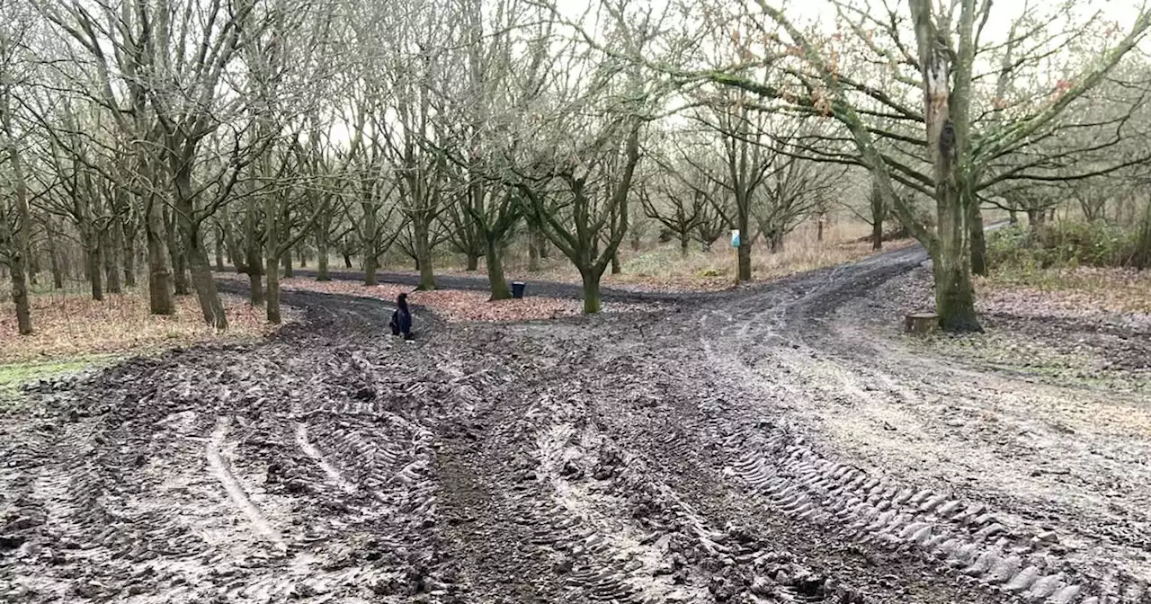 Northampton's Delapre Abbey turned into 'mud fest' after lights trail