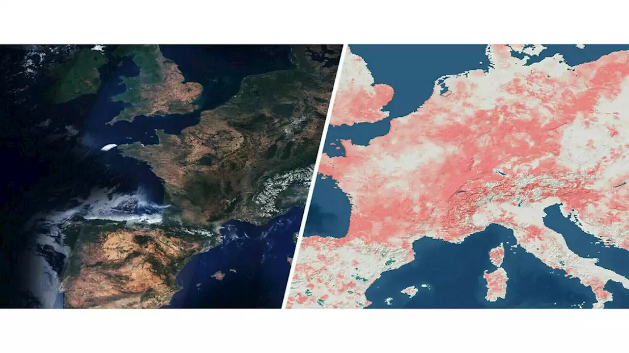 Zomer 2022 was Europa’s warmste zomer ooit gemeten