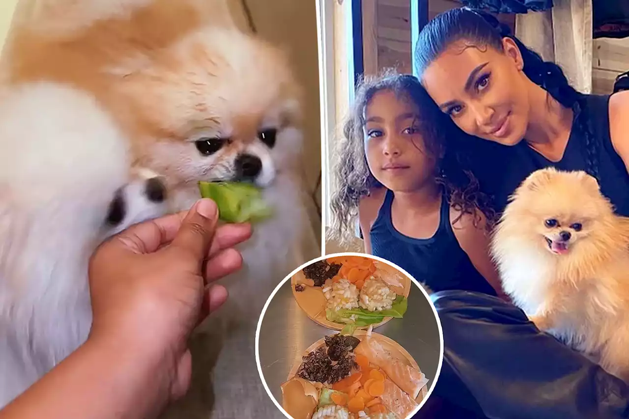 North West treats her dogs to an indoor meal after garage backlash