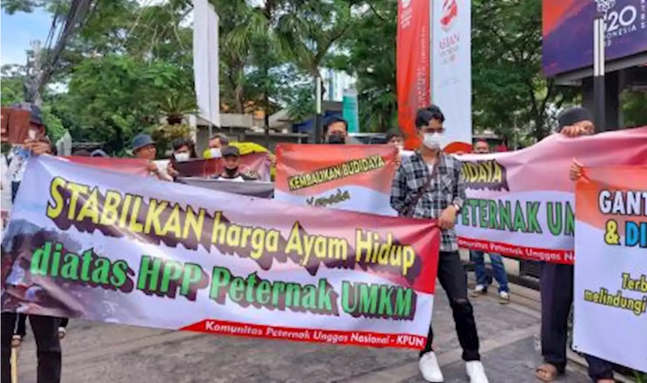 Peternak Heran, |em|Kok|/em| Jual Ayam Dihargai Murah Tapi di Pasar Stabil? |Republika Online