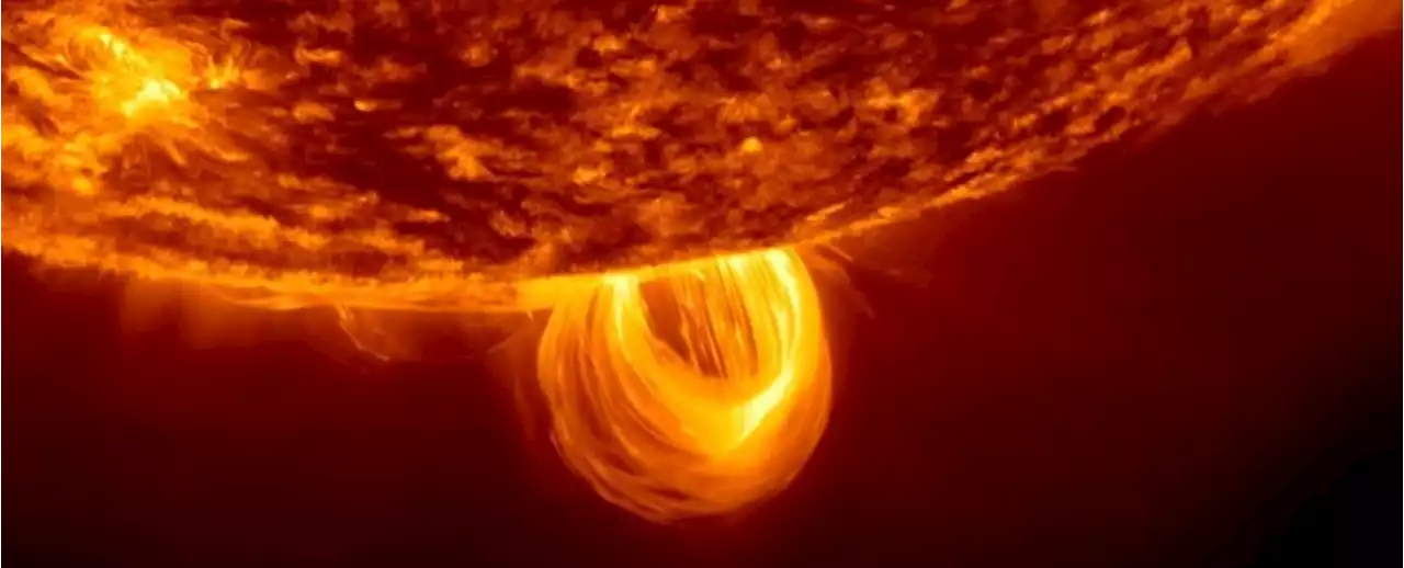 Amazing NASA Video Squeezes Over 100 Days on The Sun Into 1 Hour