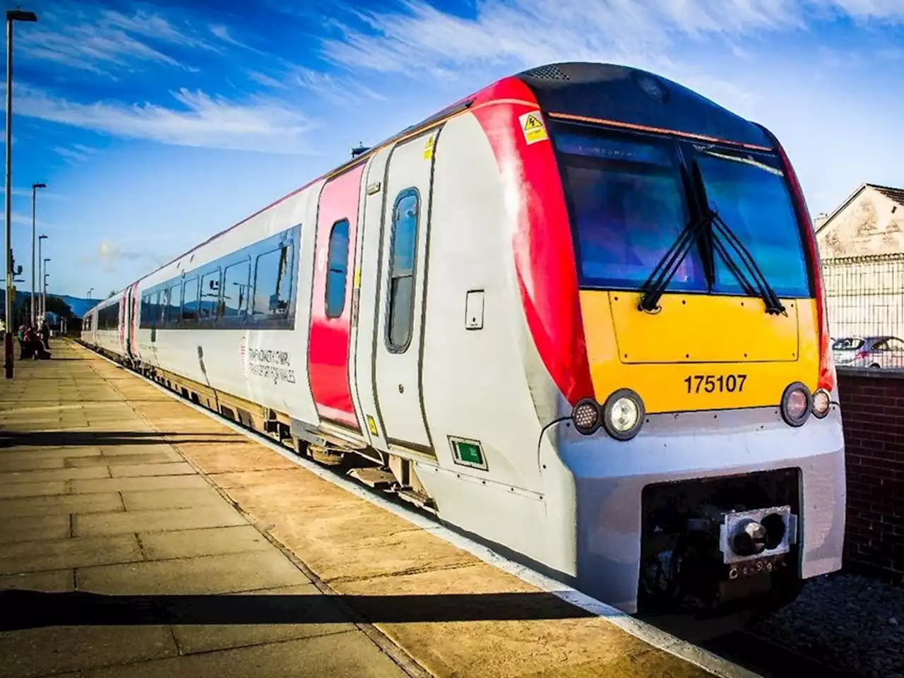 Train hits shopping trolley left on railway line