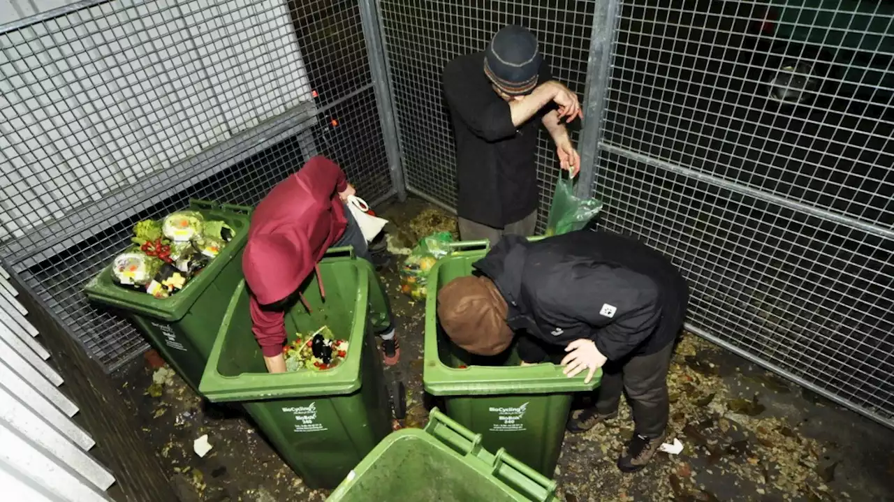 Lebensmittelverschwendung: Containern soll kein Diebstahl mehr sein