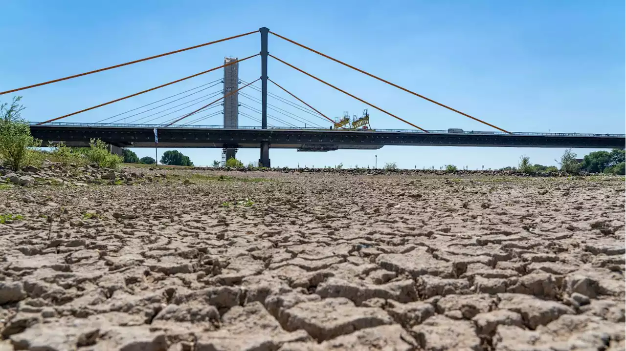 Nach Angaben des EU-Dienstes Copernicus: 2022 war der wärmste bisher gemessene Sommer