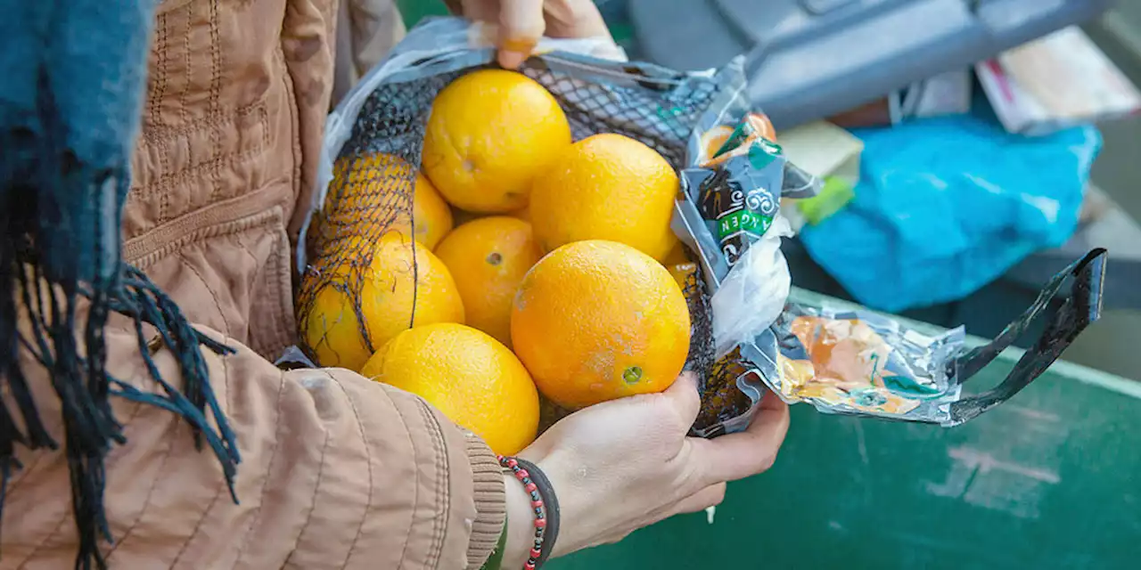 Ampel zu Lebensmittelrettung: Laue Initiative zum Containern