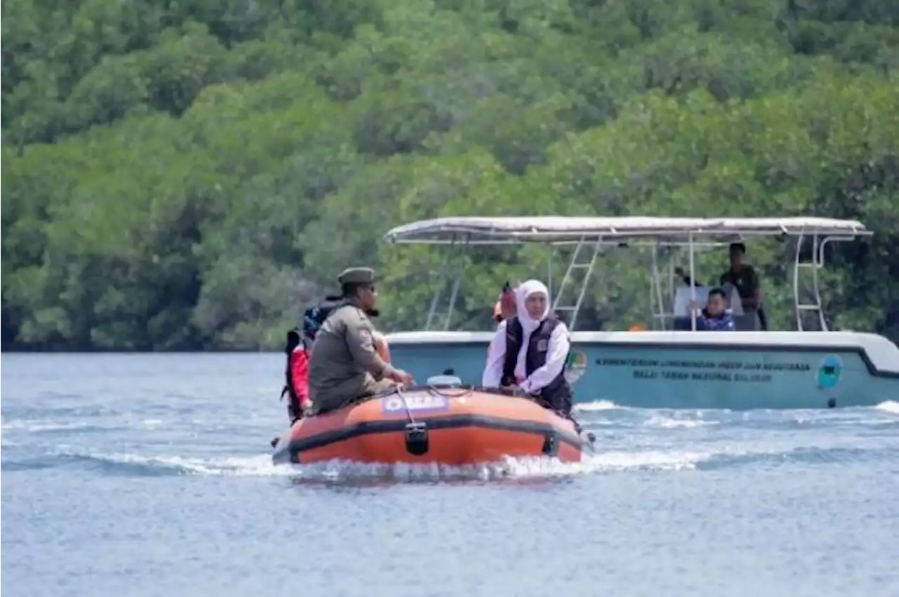 Gubernur Khofifah Promosikan Wisata Pantai Sijile Situbondo, Apa Daya Tariknya?