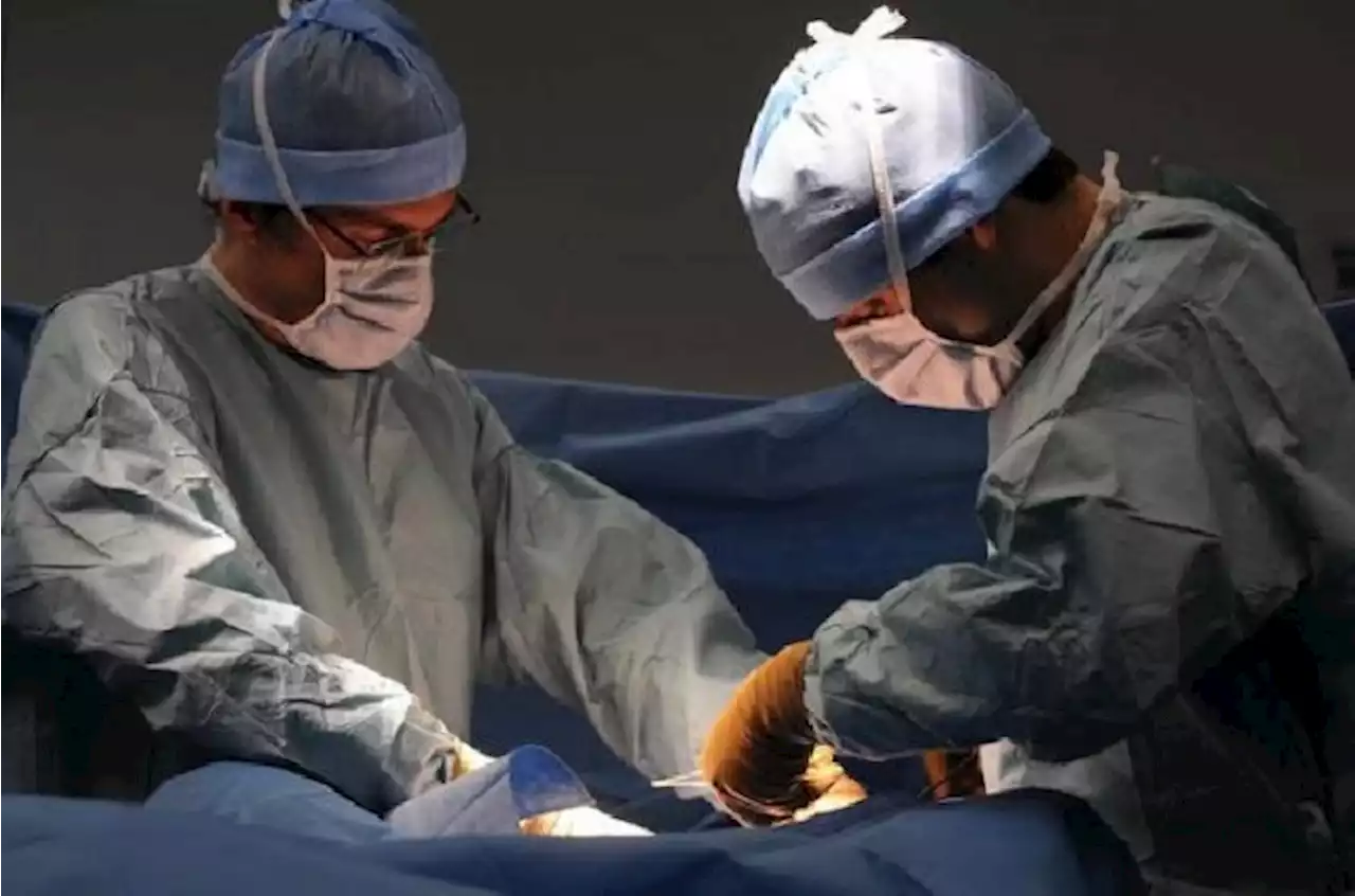 Mengenali Apa Itu Proses Transplantasi Jantung?